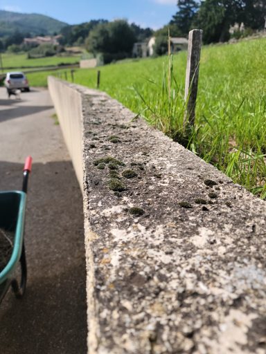 Mur avant démoussage