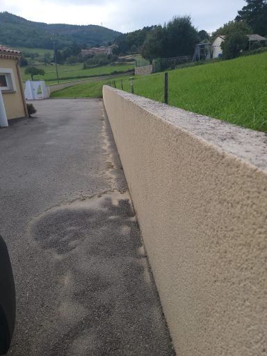 Mur après démoussage